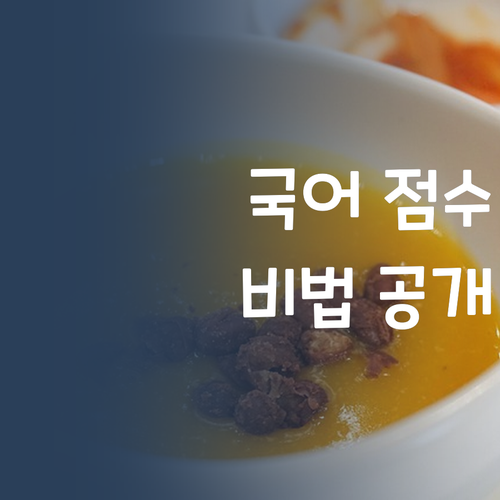 애미야, 국어 점수 갱신했다! 퍼스널멘토 1:1 밀착 과외 비결 공개!