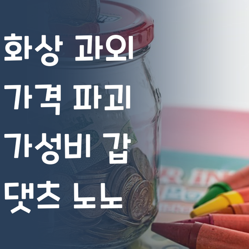 화상 과외, 비싸다고? 댓츠 노노! 가성비 갑 of 갑! 😎