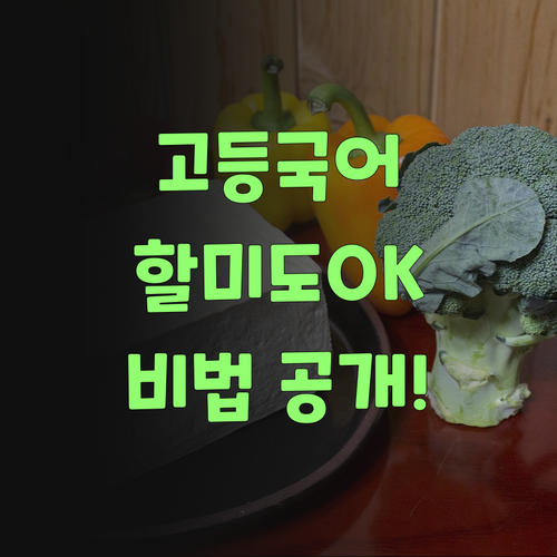 고등 국어, 이 할미도 해냈다! 비법은 퍼스널멘토 화상과외..