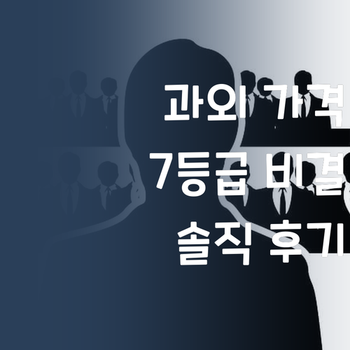 솔직후기) 1:1 과외 가격 실화? 7등급 언니의 등급 올린 비결!
