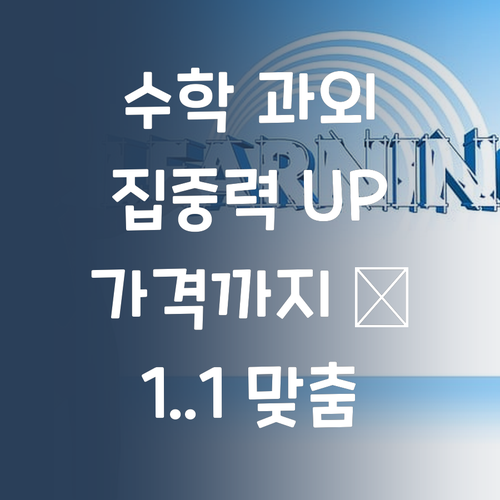 수학 집중력 높이는 1:1 과외! 가격까지 착하다?!
