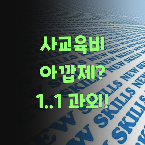 아따, 사교육비 아깝제? 퍼스널멘토 1:1 과외가 딱이여! 얼른 보랑께..