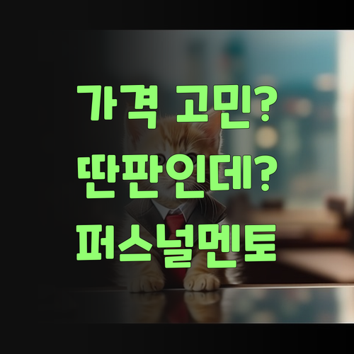 1:1 화상 과외 가격 땜에 고민? 퍼스널멘토는 딴판이여..