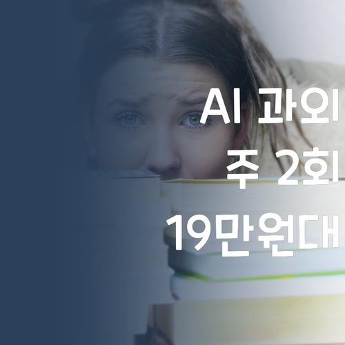 AI 과외 학원보다 훨씬 합리적 주 2회 19만원대 실화?