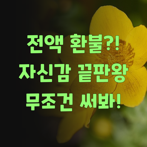 전액 환불 보장? 퍼스널멘토, 이래도 안 써볼랑가! 자신감 끝판왕이구먼..