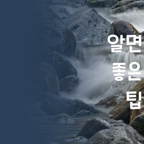 초등 영어, 포기하지 마! 7등급 썰 푼다… 멘토의 기적 경험해봐! 🤩