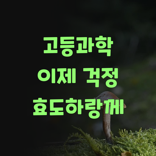고등 과학 이제 걱정말고 퍼스널멘토로 효도하랑께..