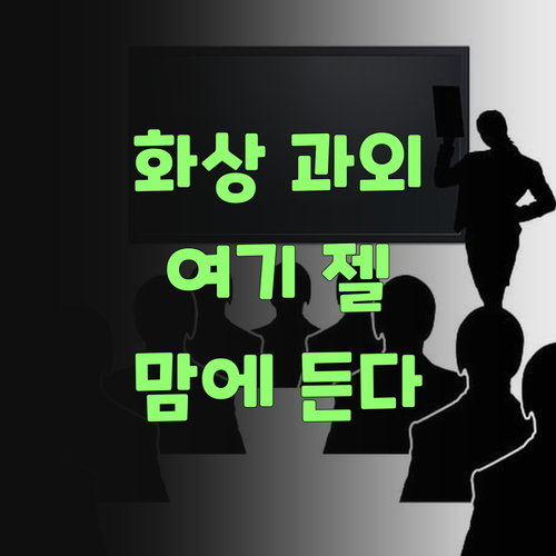 1:1 화상 과외, 퍼스널멘토가 젤 싸고 맘에 든다.. 잉?