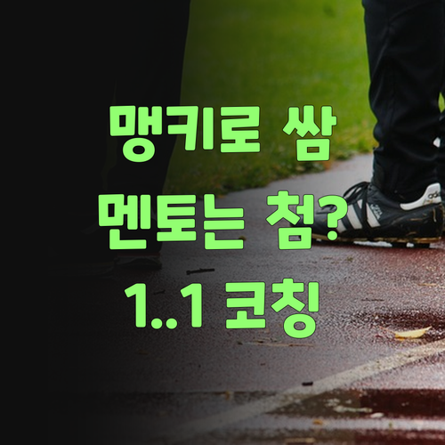 1:1 맹키로 싼 데는 없을 거여! 퍼스널멘토여..