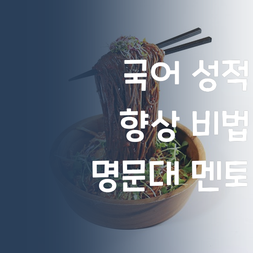 명문대 멘토가 알려주는 퍼스널멘토 국어 성적 향상 비법