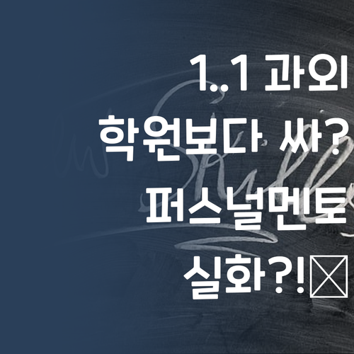 1:1 과외, 학원보다 싸다고?! 퍼스널멘토 실화냐?🤣