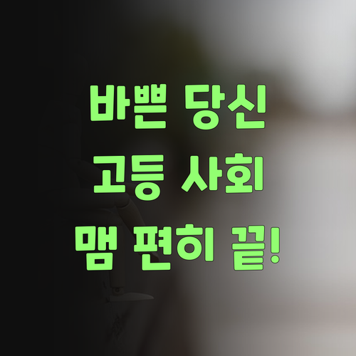아이고, 바쁜 당신! 퍼스널멘토가 맴 편히 고등 사회 책임져 줄랑께..