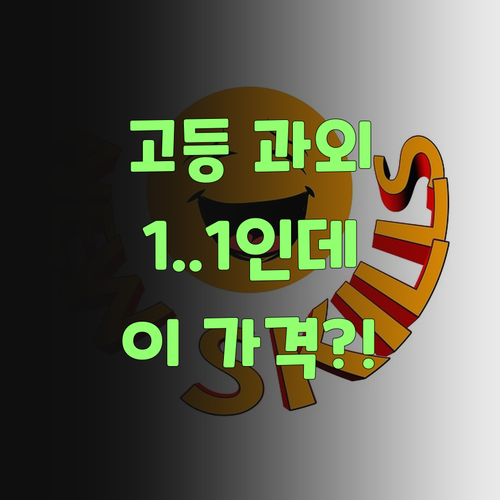 헉! 고등학생 1:1 과외가 이 가격? 퍼스널멘토 실화냐..
