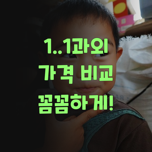 최저가 1:1 화상과외? 퍼스널멘토, 다른 데랑 꼼꼼히 비교해봐야..