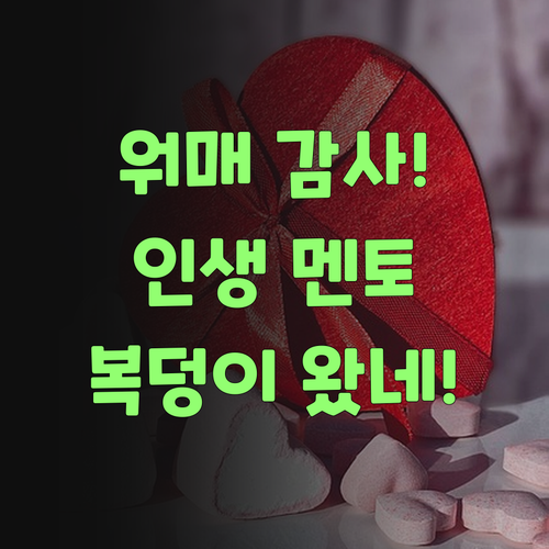 워매 감사! 퍼스널멘토, 복덩이가 굴러왔네!..
