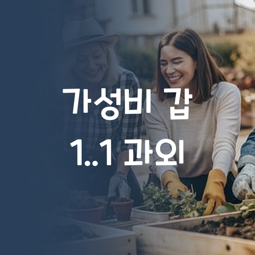 가성비 갑! 퍼스널멘토 1:1 과외 안 들으면 손해임