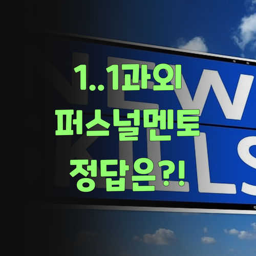 1:1 화상 과외? 퍼스널멘토가 답이여!..