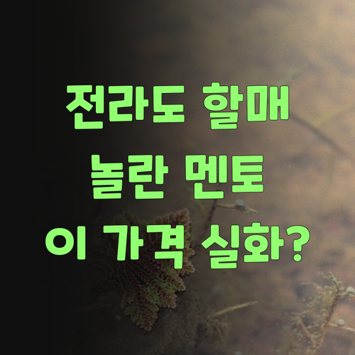 전라도 할매도 놀란 퍼스널멘토! 이 가격 실화요? 어여 보랑께!