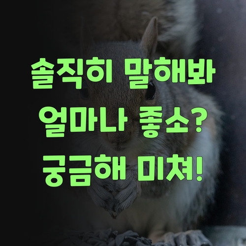 솔직히 말해봐, 퍼스널멘토 얼매나 좋소? 궁금해서 잠이 안 온다!