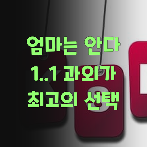 똑똑한 엄마는 안다! 퍼스널멘토 1:1 과외가 최고여..
