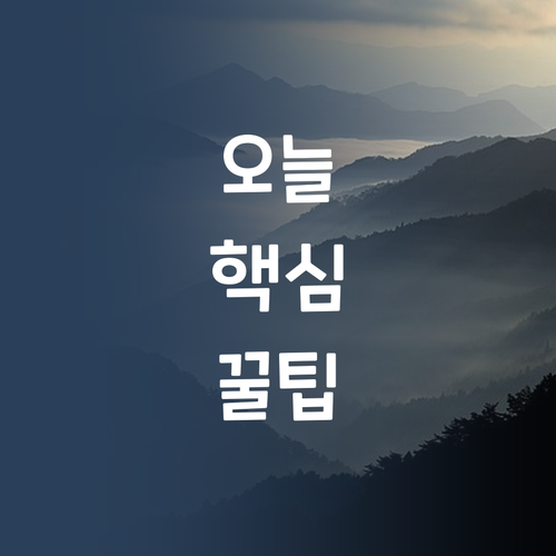 수학 등급, 멘토만 잘 만나도 오른다?! 7등급 언니의 솔직 후기