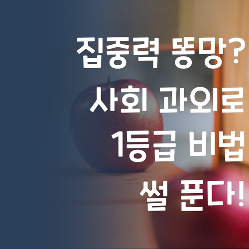 집중력 똥망?! 퍼스널멘토 사회 과외로 1등급 만든 썰 푼다!