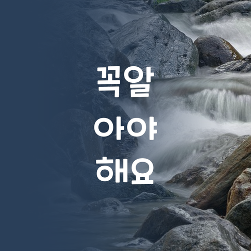 초등 수학, 지금이 기회! 놓치면 후회할지도 몰라요~ 😉