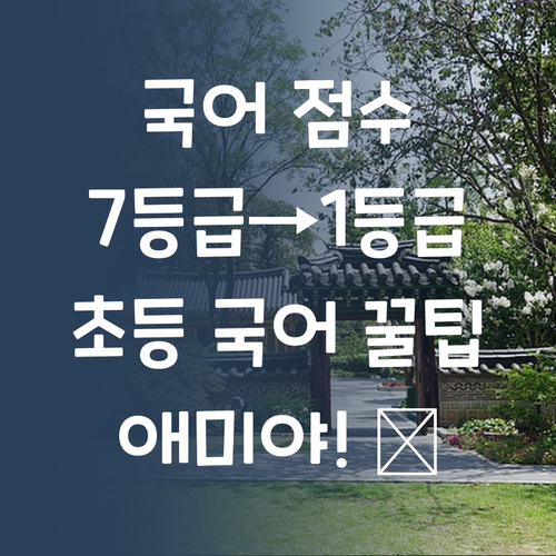 애미야, 국어 점수 짜다! 7등급→1등급 멘토의 초등 국어 솔루션!