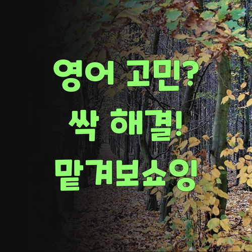 영어 때문에 골치 아프셨소? 퍼스널멘토 믿고 맡겨보쇼잉, 싹 해결된당께..