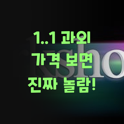 1:1 화상 과외, 퍼스널멘토 가격 보면 놀랄 거여..