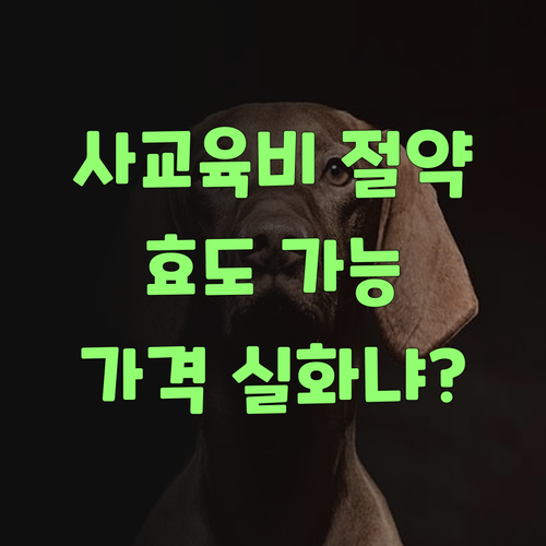 사교육비 아껴서 효도해야지! 퍼스널멘토, 이 가격 실화여?..