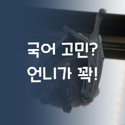 국어, 혼자 끙끙 앓지 마! 멘토 언니가 1:1로 책임질게