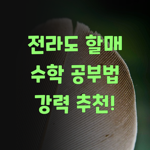 전라도 할매가 강추하는 수학 공부법! 안 들으면 손해! ..