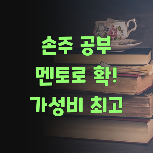 우리 손주 공부, 퍼스널멘토로 확 올려불자! 가성비 최고여..