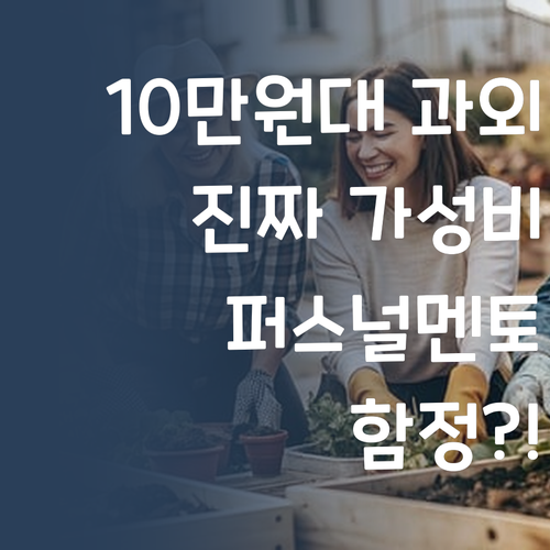 10만원대 과외, 함정?! 진짜 가성비는 퍼스널멘토에 있다!