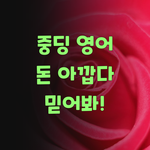 중딩 영어, 돈 아깝다 생각 말고 퍼스널멘토 한번 믿어봐! 후회 안 할거여..