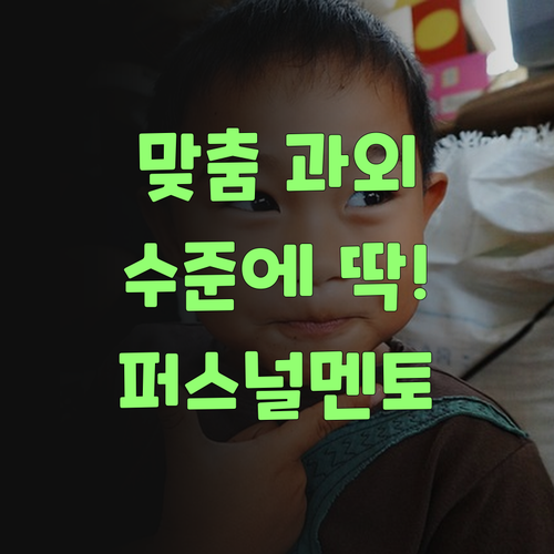 맞춤 과외, 우리 아그 수준에 딱! 퍼스널멘토가 정답이여..