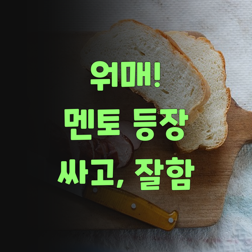아따, 퍼스널멘토! 가격, 실력 모두 잡았당께! 어서 써보랑께..