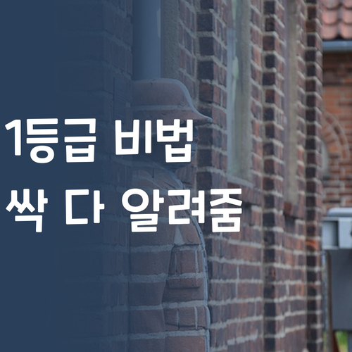 얘들아, 비싼 학원 이제 그만! 😜 언니가 1등급 비법 싹 다 알려줄게! 퍼스널멘토 꿀팁 대방출