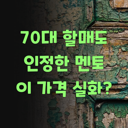 70대 할매도 인정! 퍼스널멘토, 이 가격에 이 실화 맞소이까..