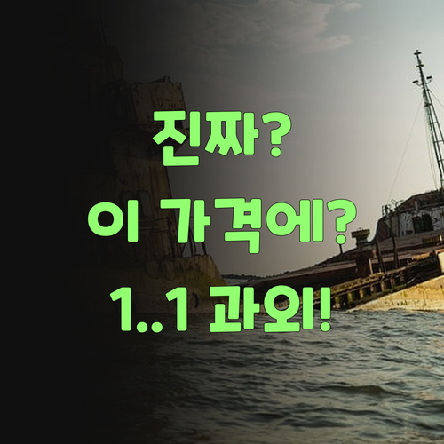 아이고, 이 가격 실화여? 퍼스널멘토 1:1 과외가 이리 싸다니!