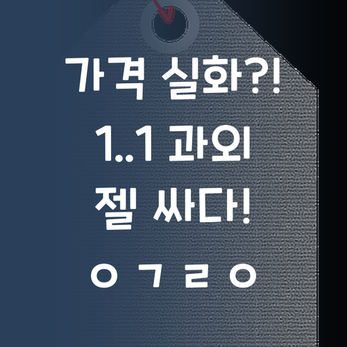 가격 실화?! 1:1 화상 과외, 퍼스널멘토가 젤 싸다! ㅇㄱㄹㅇ