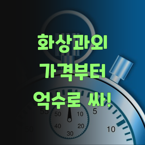 퍼스널멘토 1:1 화상과외? 비싸다 생각 말고, 가격부터 보랑께! 억수로 싸다! ..