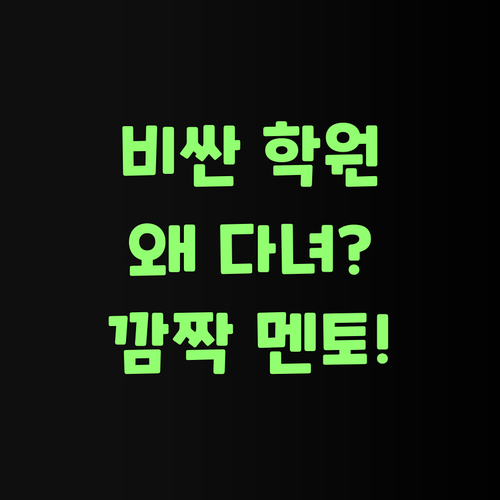 뭣땀시 비싼 돈 내고 학원 다닌댜? 퍼스널멘토 가격 들어보면 깜짝 놀랄 거여..