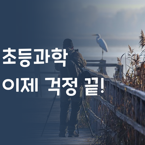 우리 아이 과학, 이젠 꽃길만 걷게 해줄게! 🌸