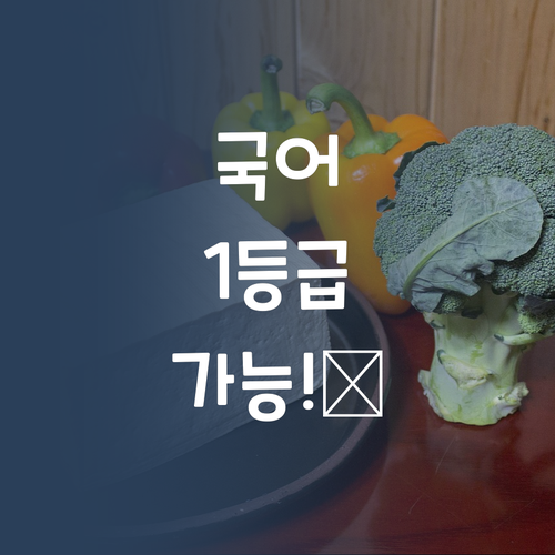 국어, 포기하지 마! 멘토 언니가 1등급 만들어줄게! ✨