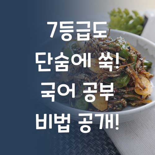 시간 낭비는 이제 그만! 7등급 언니의 효율적인 국어 공부 노하우!