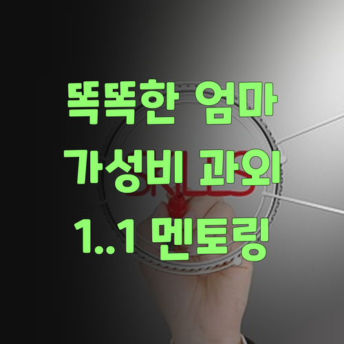 똑똑한 엄마들은 안다! 퍼스널멘토, 가성비 1:1 과외의 비밀..