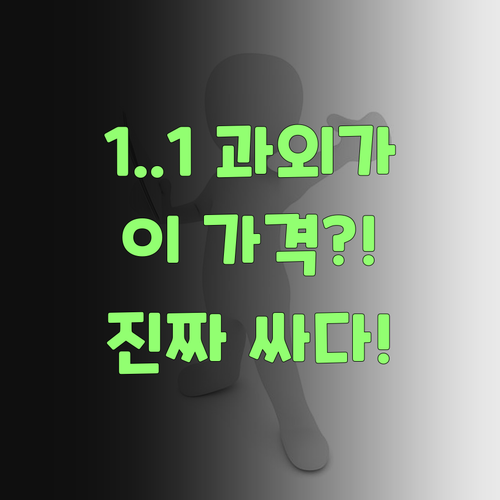 아따, 1:1 과외가 이 가격?! 퍼스널멘토는 뭔데 이리 싸다요..