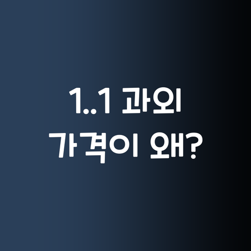 가성비 갑 1:1 사회 과외! 퍼스널멘토, 왜 싼지 궁금해? 🤫
